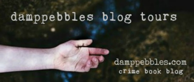 damppebbles blog tours